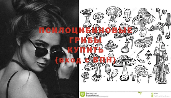 дурь Приозерск